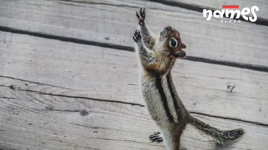 Boy Chipmunk Names