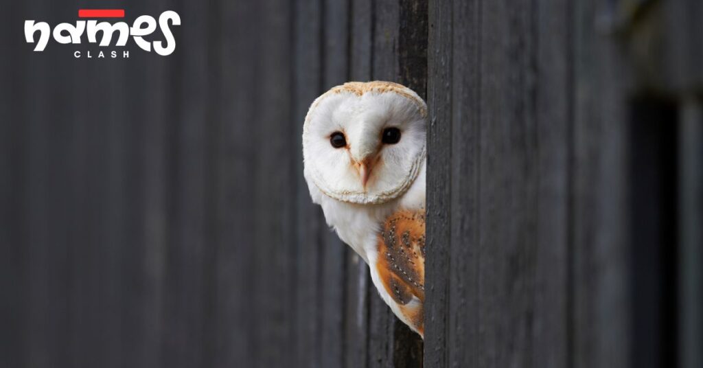 Great Horned Owl Names (Powerful & Regal)