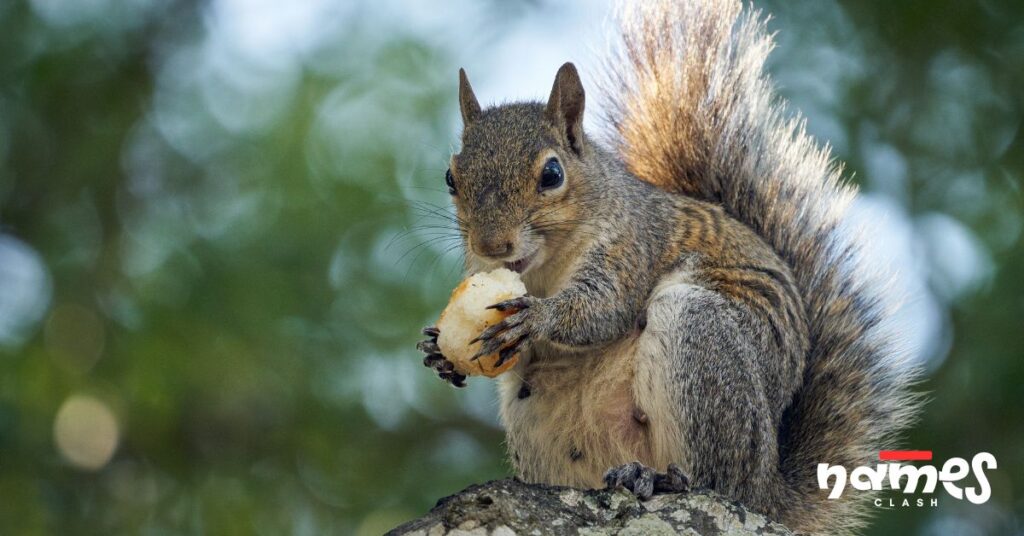 Creative Names Inspired by Nature