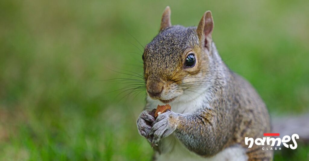 Mythical & Fantasy Squirrel Names