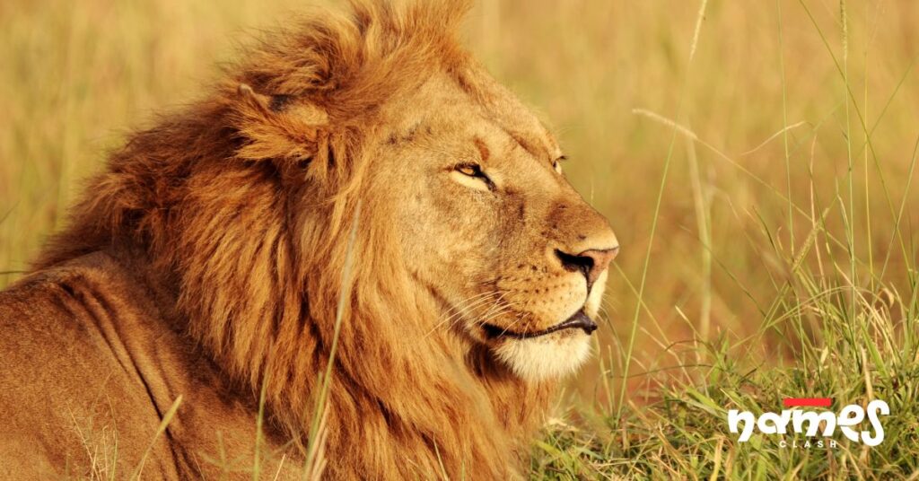 Mythological Lion Names