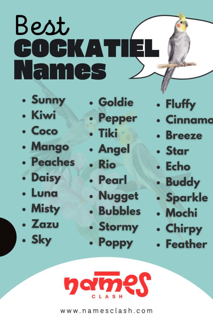 Cockatiel Names
