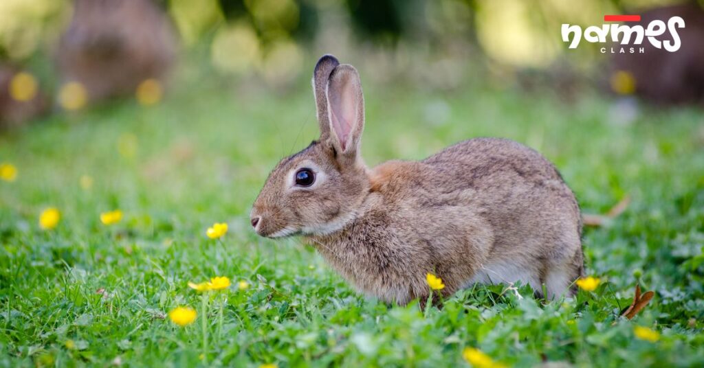 Historical, Cultural & Vintage Names