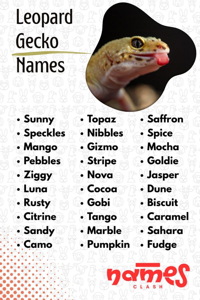 Leopard Gecko Names
