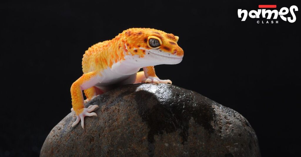 Video Game-Inspired Leopard Gecko Names