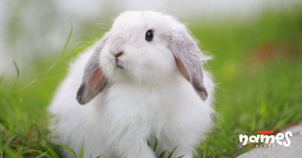 Whimsical & Free-Spirited Names