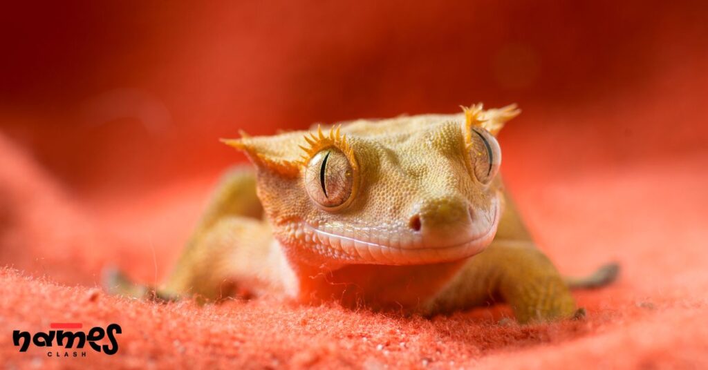 Adventure-Inspired Crested Gecko Names