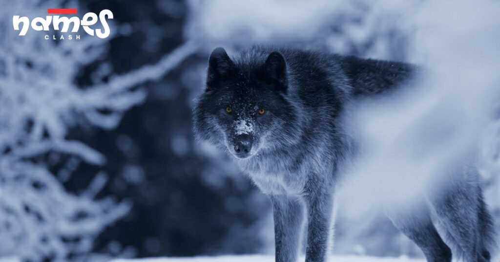 Alpha Wolf Names
