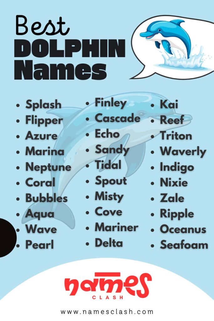 Best Dolphin Names