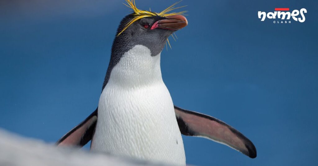 Cool Penguin Names