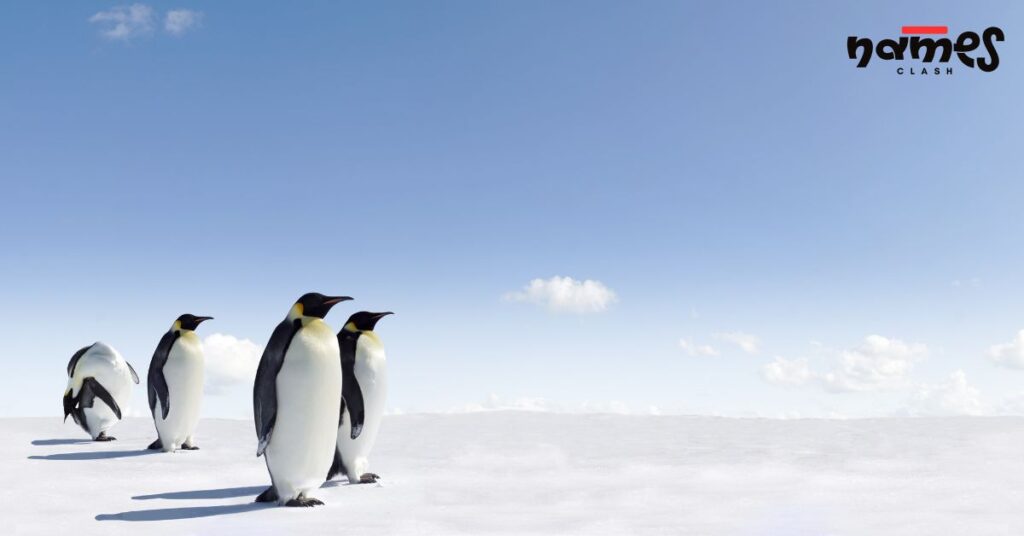 Cute Penguin Names