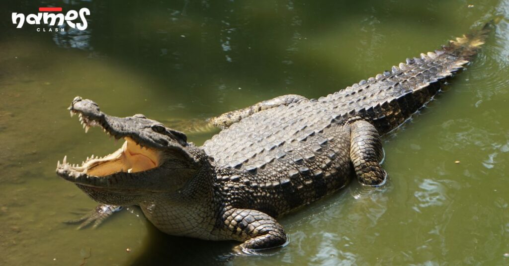 Fantasy & Mythology-Inspired Alligator Names