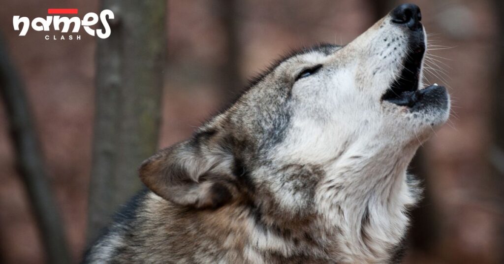 Fierce Wolf Names