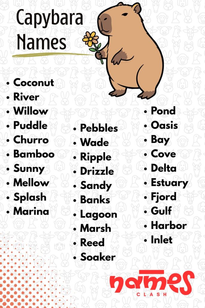 Funny & Punny Capybara Names