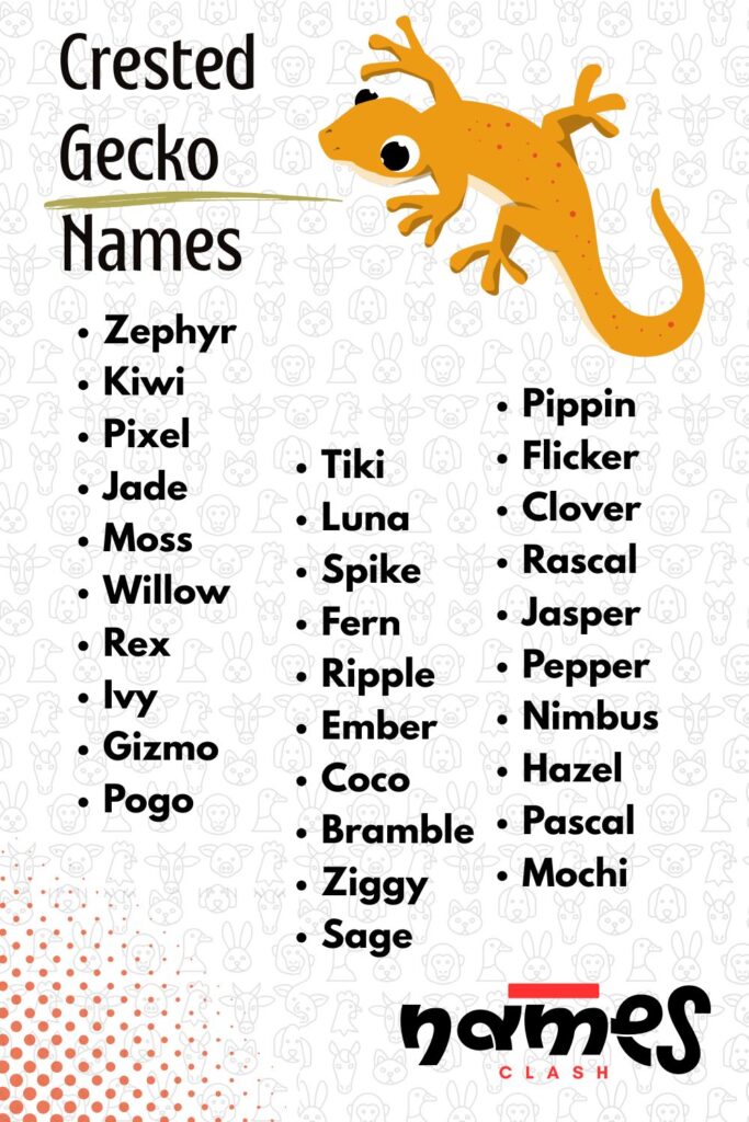Crested Gecko Names