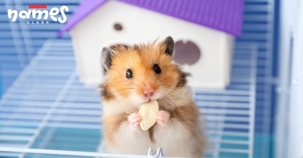 Halloween Hamster Names