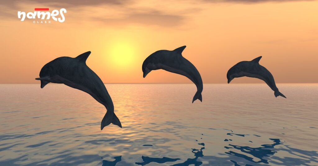 Names That Mean Dolphin