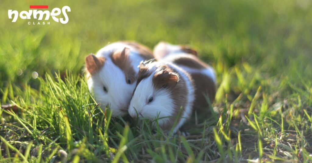 Nature-Inspired Hamster Names