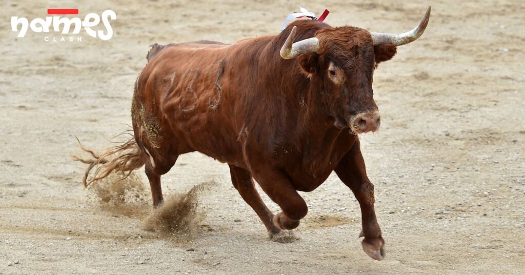 Unique Bull Names