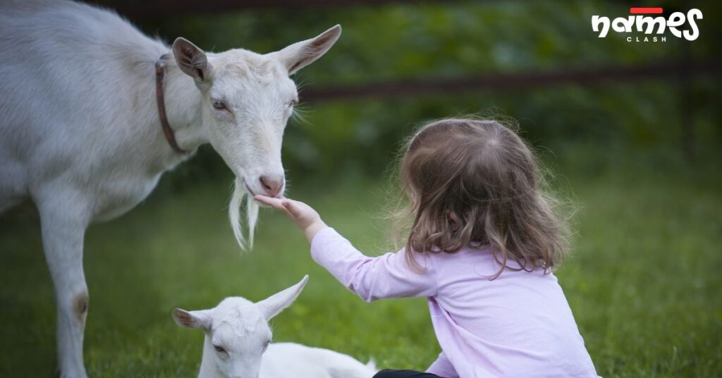 Goat Names start with G