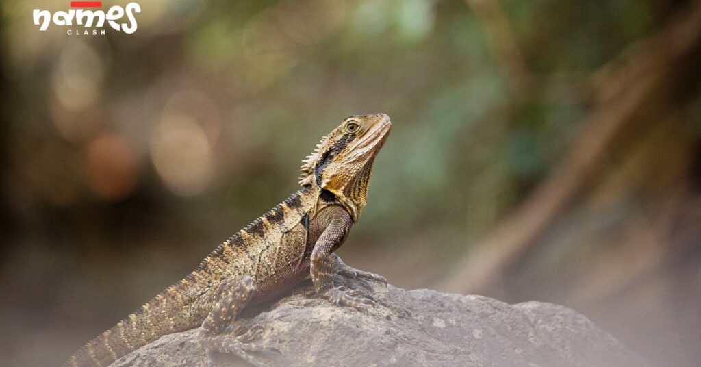 Bearded Dragon Names Inspired by Science and Technology