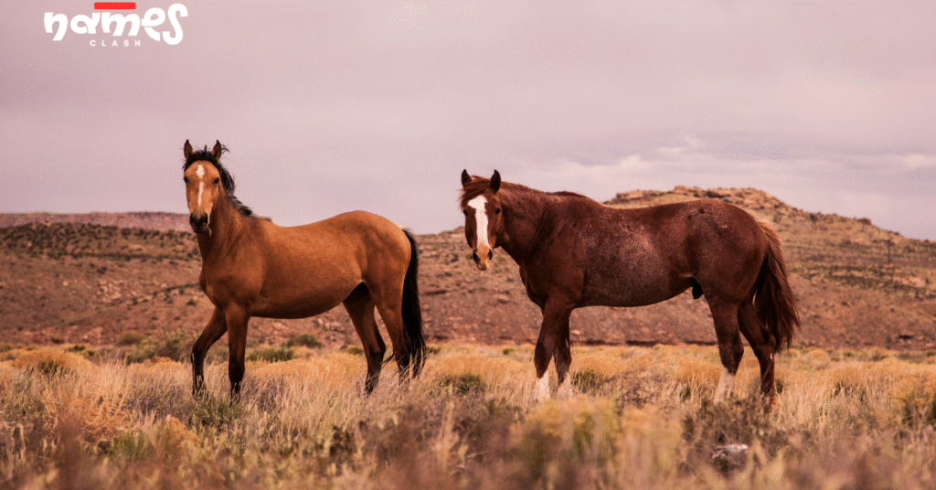 Perfect Horse Names