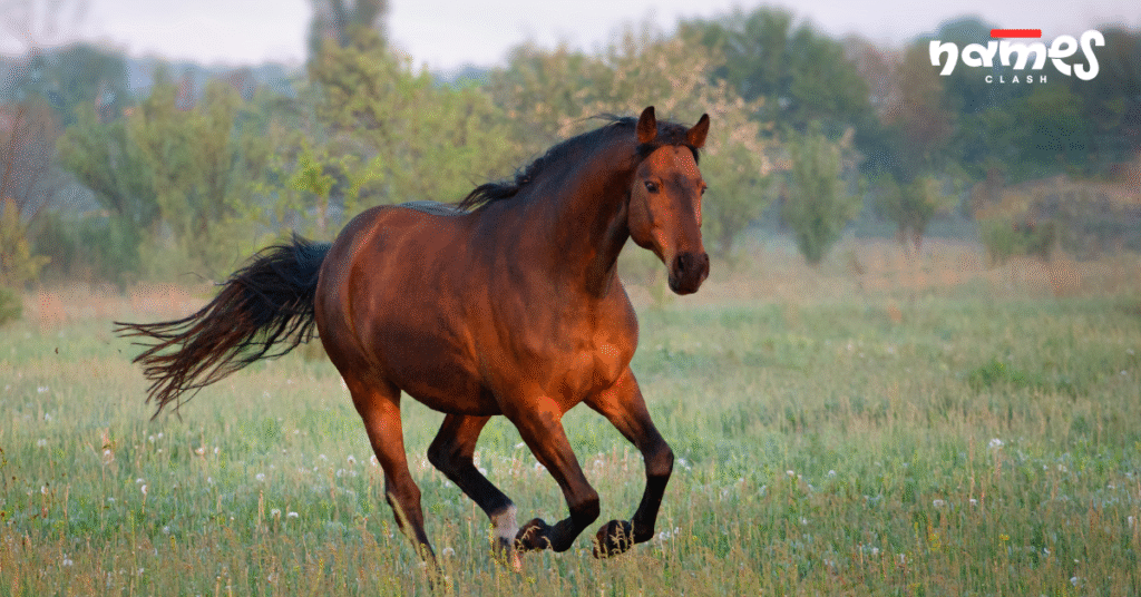 Powerful Horse Name Ideas