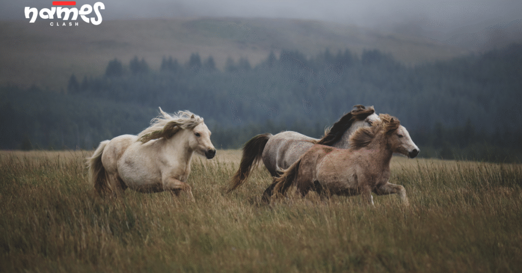 Rare Horse Names