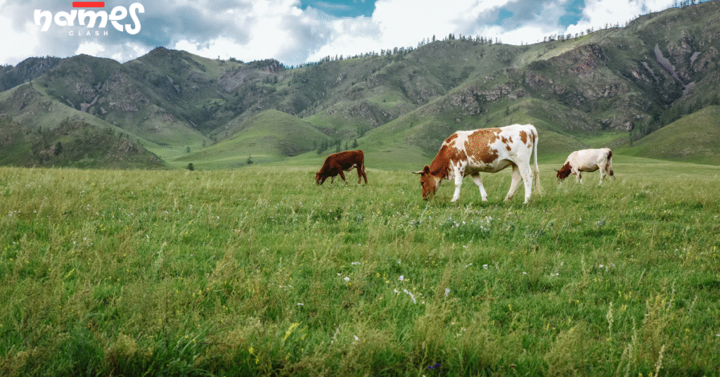 Stardew Valley Cow Names