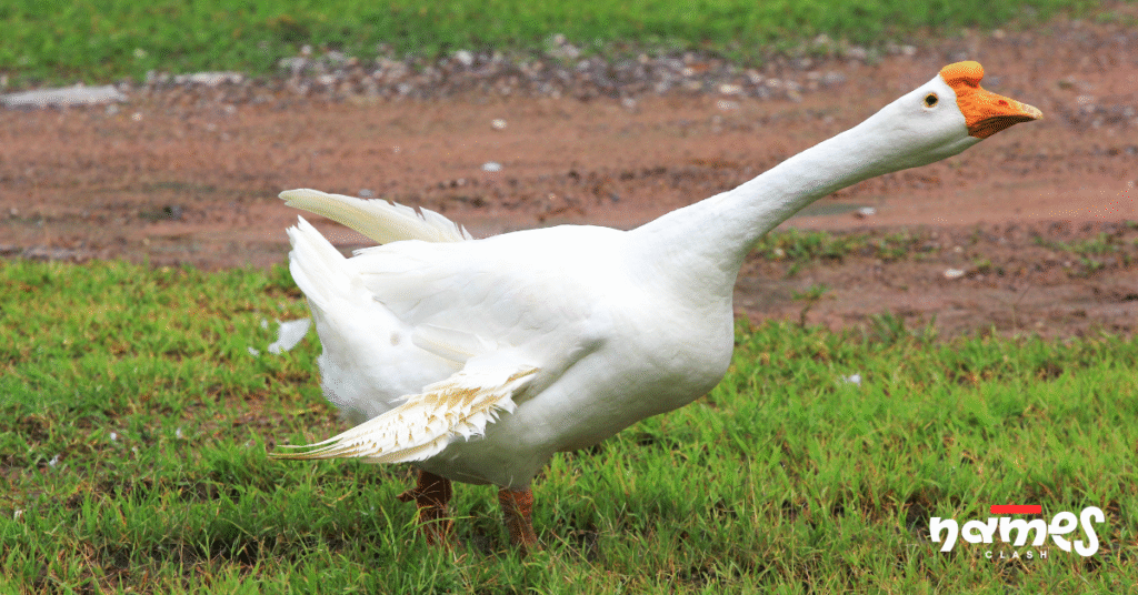 Badass Goose Names