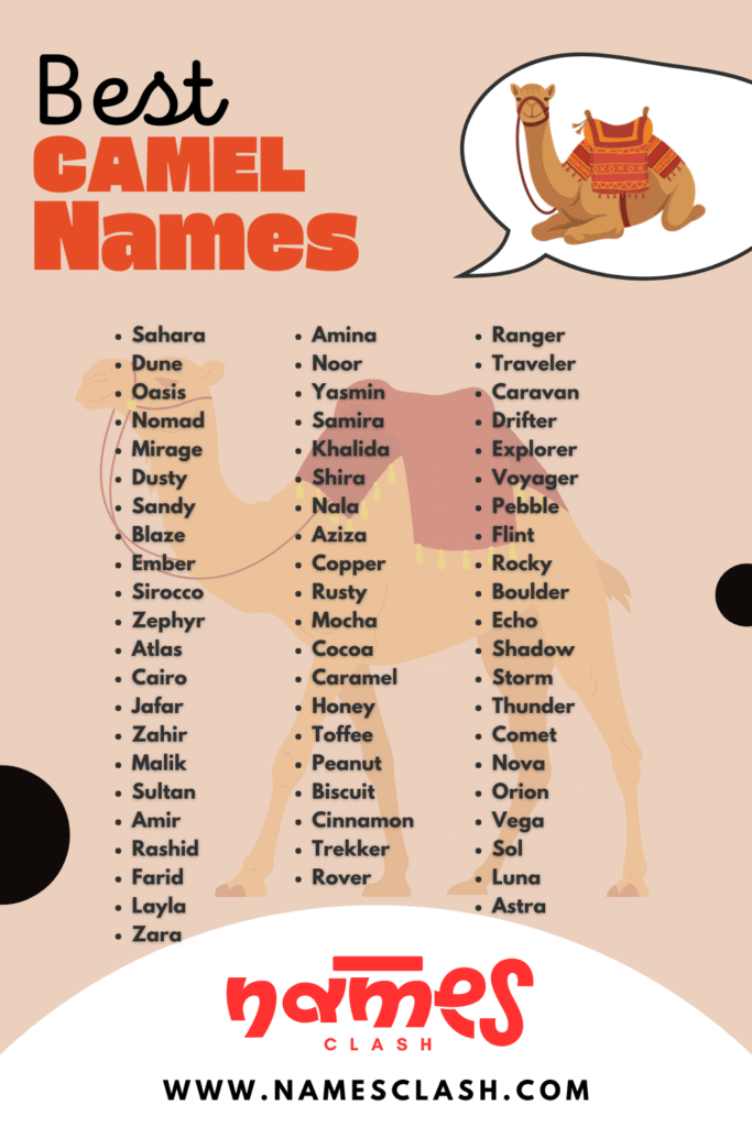 Camel Names