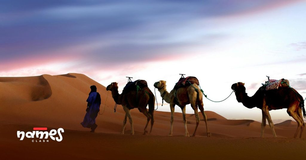 Classic Camel Names