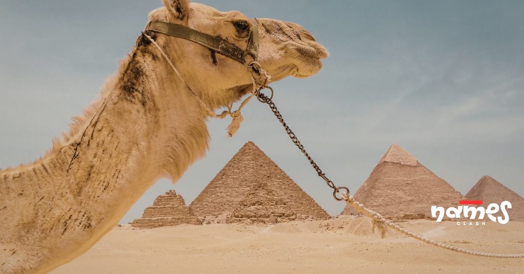 Famous Camel Names