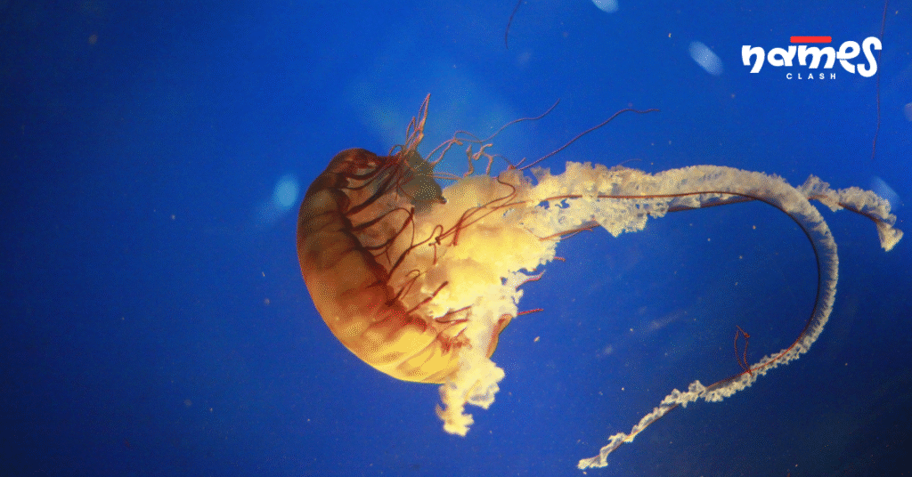 Glow and bioluminescence names