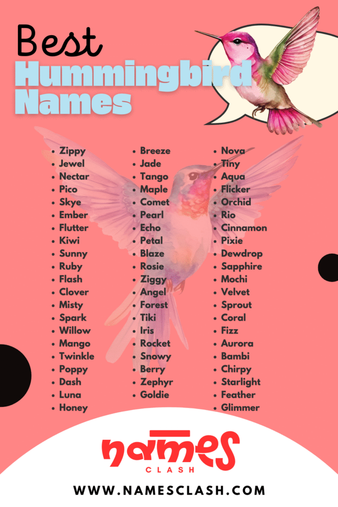 Hummingbird Names