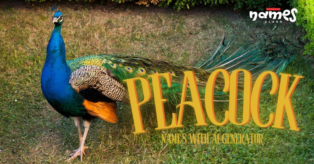 Top 600 Peacock Names With AI Generator