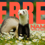 560+ Ferret Names: Cute, funny, unique ideas for your fuzzy bandit