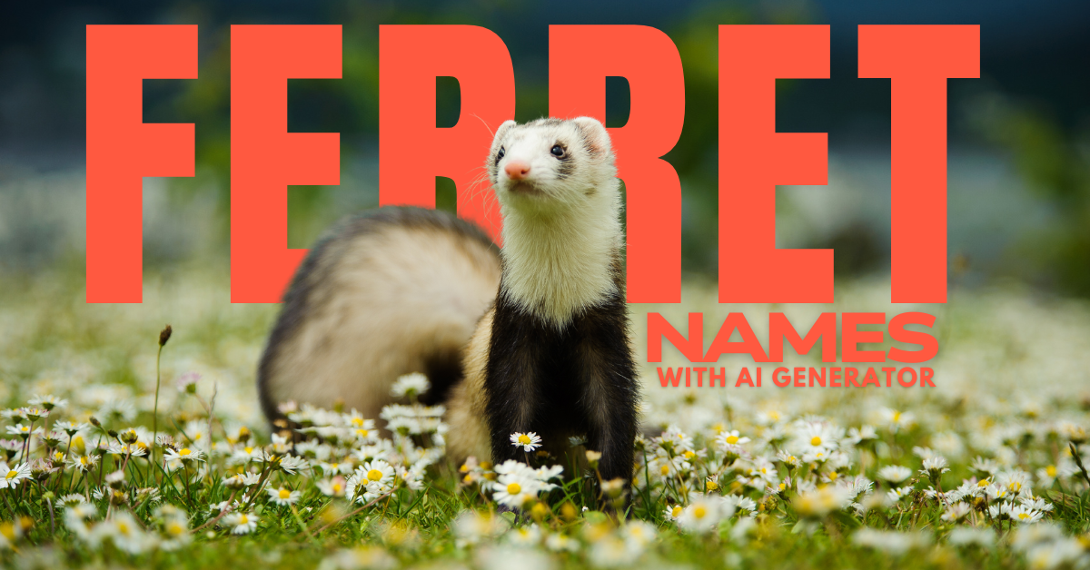 Ferret names