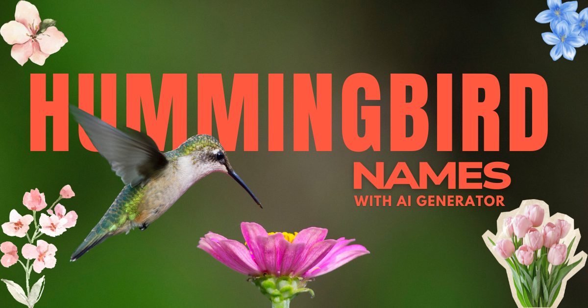 605+ Hummingbird Names with Ai Generator
